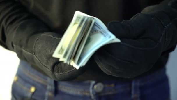 Crime concept man in black leather gloves holding pile of money — Stock Video