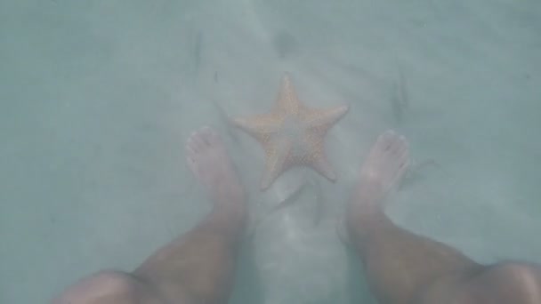 Mannsfüße stehen in der Nähe von Seesternen unter Wasser auf sandigem Meeresboden, natürliches Licht, karibisches Meer — Stockvideo