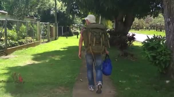 Backpacker ταξιδιωτών περπάτημα από το όμορφο πράσινο δρόμο γυρίστηκε σε κινητό τηλέφωνο κάμερα ερασιτεχνικό βίντεο — Αρχείο Βίντεο