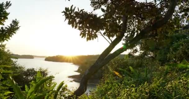 Schöner Zeitraffer tropischer, farbenfroher Sonnenuntergang über dem Ozeanwasser, mit Sonnenstrahlen, die über Ästen spielen — Stockvideo