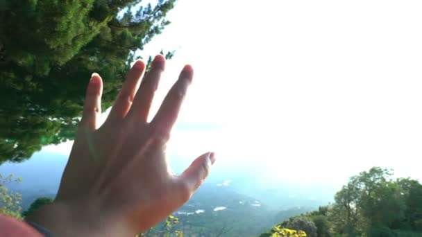Szeretet és a súlytalanság hangulat. Női kéz érintése az ég napfény gerendák. Szabadság kreativitás inprirational táj. Képzelet fogalom — Stock videók