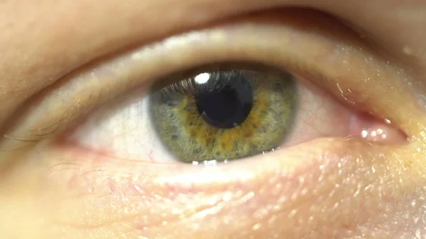 Green eye extreme close-up of iris and pupil dilating and contracting. Very finely detailed human — Stock Photo, Image