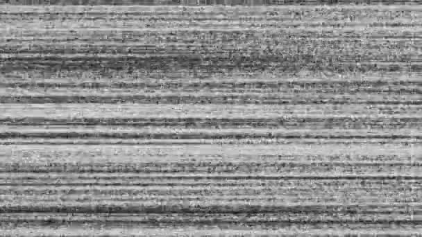 Diseño único Animación digital abstracta Pixel Noise Glitch Error Vídeo Daño — Vídeos de Stock