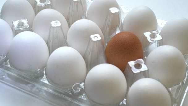 Ensam bruna ägg i box tillsammans med viten en. Skillnaden koncept, individualitet. — Stockvideo