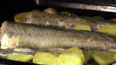 Balık ve patates kızartması yemek. Balık ve patates fırında pişmiş. Sağlıklı yemek, lezzetli yemek.