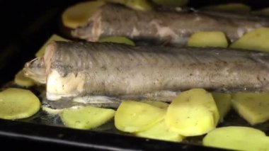 Balık ve patates kızartması yemek. Balık ve patates fırında pişmiş. Sağlıklı yemek, lezzetli yemek.