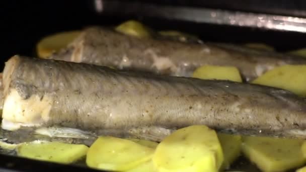 フィッシュ & チップスの料理。魚とジャガイモをオーブンで焼いた。ヘルシー料理、おいしい料理. — ストック動画