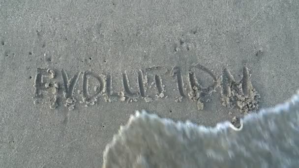 Word evolution writtern on beach sand is being washed off by ocean waves. Sign concept. Human being — Stock Video