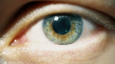 Makro yakın çekim insan yeşil göz