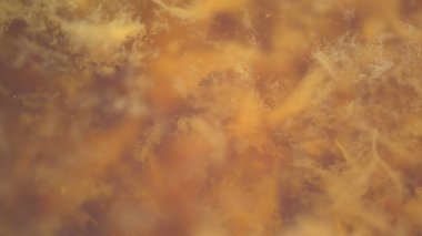 Altın sıvı arka plan