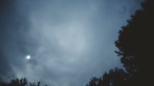 フォレスト球面パノラマ、悲観的な流れる雲の時間経過ループ ビデオ 360 度、惑星 360 — ストック動画
