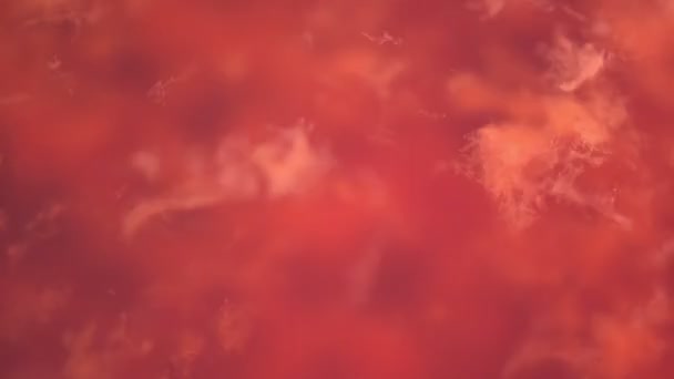 Tief rote flüssige abstrakte Hintergrundschleife — Stockvideo