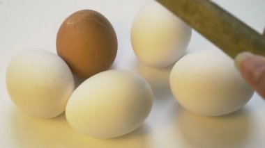 Çekiç kaza diffferent renk yumurta, yabancı düşmanlığı, ırkçılık kavramı, suç