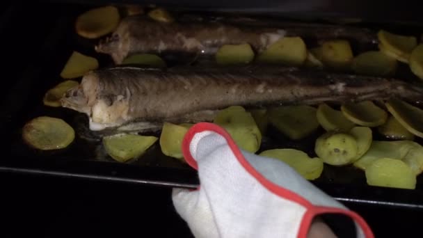오븐에서 물고기와 감자의 신선한 뜨거운 요리를 복용 하는 남성 손 — 비디오