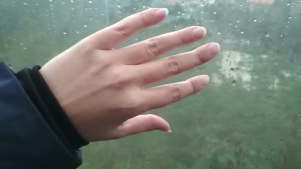 Felame hand setzt Glas in Standseilbahn, schöne Erinnerungen Impressionen, Reisekonzept — Stockvideo
