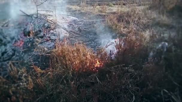 Επικίνδυνη κατάσταση, μεγάλη φωτιά που περνά γρήγορα μέσα από το ξηρό γρασίδι — Αρχείο Βίντεο