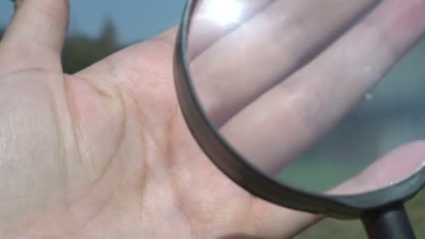 Guardando i batteri sulle mani con lente d'ingrandimento — Video Stock