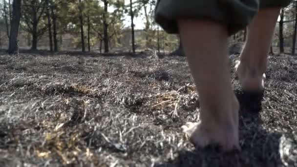 Homem pés andando descalço por grama queimada após grande floresta incêndio, desastre ecológico, natureza — Vídeo de Stock