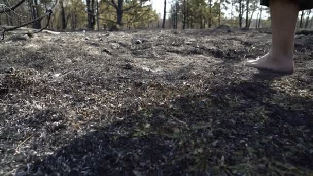 大きな森林の山火事、生態学的災害、自然の後に焼けた草で裸足で歩く男 — ストック動画