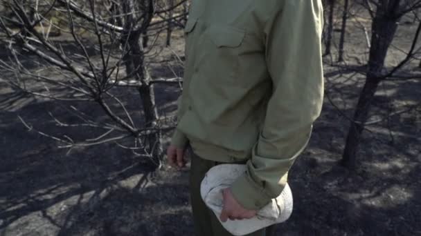 Άνθρωπος σε απόγνωση που βάζει το καπέλο του να στέκεται στο καμένο δάσος, σε πυρκαγιά, οικολογική καταστροφή. — Αρχείο Βίντεο
