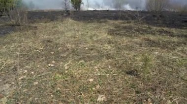 Orman yangını, siyah zemin, küller, duman, tehlikeli cereyan lı hava dan sonra yanmış orman ve tarla