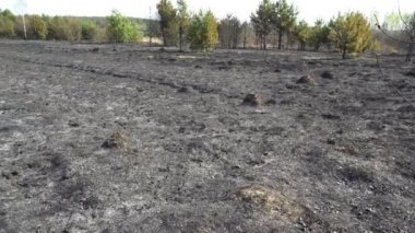 Orman yangını, siyah zemin, küller, duman, tehlikeli cereyan lı hava dan sonra yanmış orman ve tarla