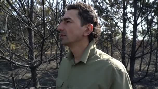 Man i förtvivlan sätta upp sin hatt stående i bränd skog AF löpeld, ekologisk katastrof — Stockvideo