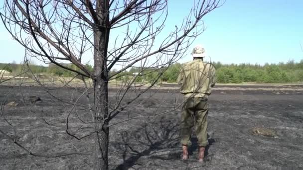 Одинокий человек, стоящий под сгоревшим деревом на поле после лесного пожара, экологической катастрофы — стоковое видео