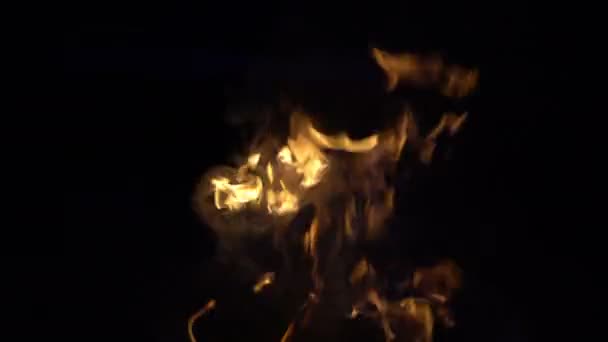 Lagerfeuer in der Nacht brennt — Stockvideo