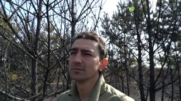 Hombre desesperado en bosque quemado, ecología catactrofe concepto de desastre — Vídeos de Stock