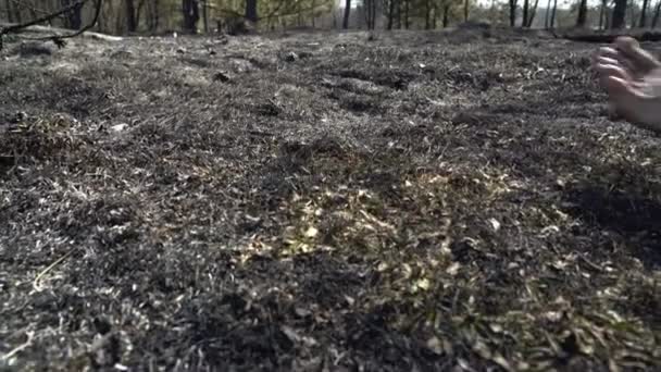 Pies de hombre caminando por bosque quemado, clima de sequía peligrosa, cenizas, catástrofe ecológica catactrofe — Vídeos de Stock