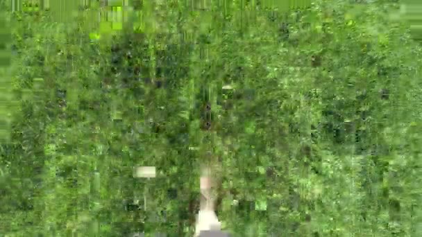女性は裸足で緑の草の棒で歩く — ストック動画