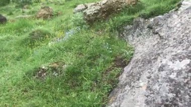 Kafkasya dağlarında kayaya tırmanan bir adam turist
