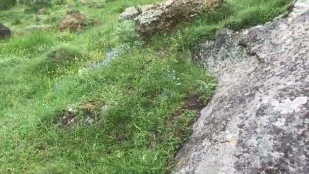 コーカサスの山で男観光客が岩を登る — ストック動画