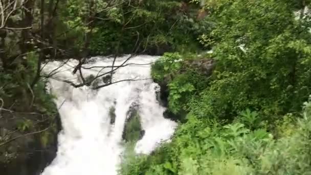 Wasserfall in den Bergen des Kaukasus Georgien — Stockvideo