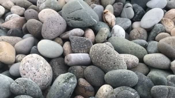 Steine am Strand schließen abstrakten Hintergrund — Stockvideo