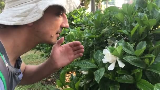 Sexy man geniet van de geur van tropische bloemen — Stockvideo