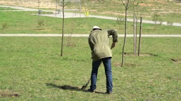 Hombre plantando árbol en la ciudad — Vídeos de Stock