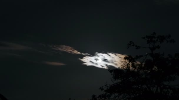 Темное небо с восходящей луной — стоковое видео