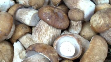 Mantar Boletus ahşap arka plan üzerinde döndürülen bir sepet içinde. Sonbahar Boletus edulis ceps Mantar