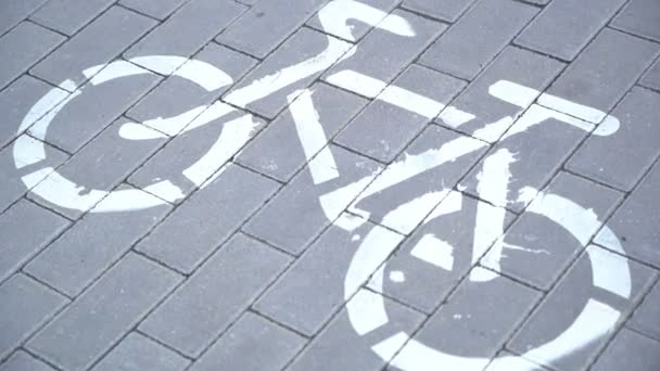 Riding bicycle, crossing cycle path sign, bike friendly city, urban scene — Stock Video