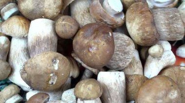 Mantar Boletus ahşap arka plan üzerinde döndürülen bir sepet içinde. Sonbahar Boletus edulis ceps Mantar
