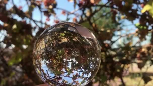 Осінній виноробний завод, виноградник, жіноча рука тримає чарівний кристалічний м'яч над красивим природним ландшафтом — стокове відео
