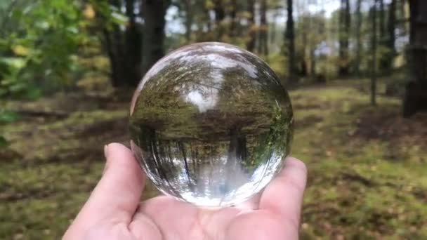 Female hand holding magic crystall ball over beautiful nature landscape, autumn forest, season — Stock Video