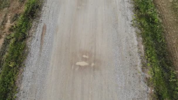 drone arial vidéo survolant vide route d'automne 