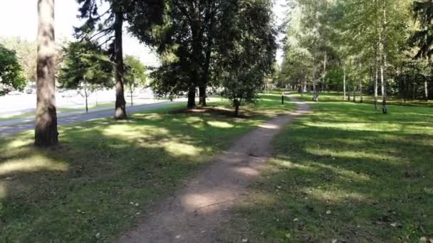 Létání zeleným lesem, podzimní scéna slunečný park — Stock video