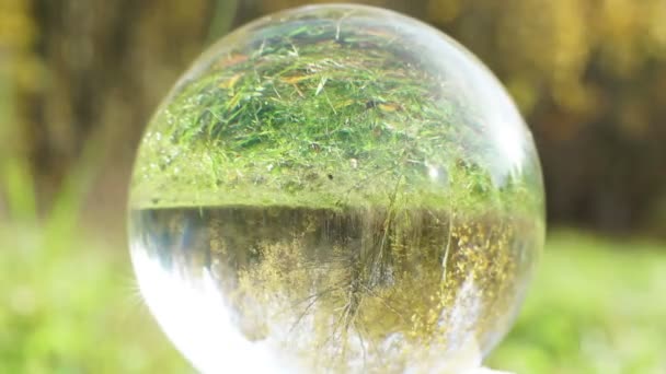 Color verde y amarillo otoño en escena de bola de cristal paisaje lapso de tiempo — Vídeo de stock