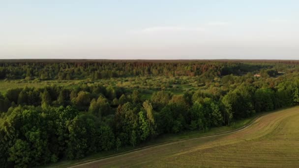 Voando sobre a paisagem bonita do lado do país com campo e árvores, no por do sol, tiro aéreo, drone — Vídeo de Stock