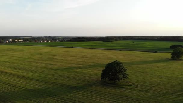 Flyger över vackra landskap på landet med fält och träd, på solnedgången, antenn skott, drönare — Stockvideo