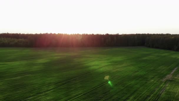 Vliegen over prachtig landschap op het platteland met groen veld, bij zonsondergang, luchtfoto, drone, uitzicht — Stockvideo
